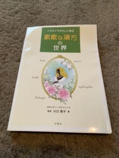イラストでやさしく学ぶ素敵な漢方の世界のサムネイル