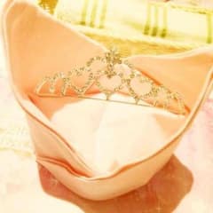 えりーさん専用のサムネイル