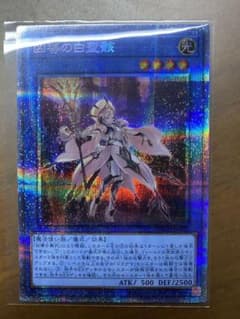 凶導の白聖骸 ドラグマアルバスセイント プリズマシークレットレア プリシクのサムネイル