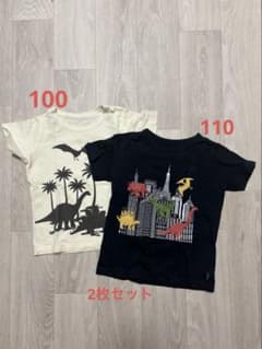 GITA 恐竜柄 Tシャツ 2枚セット 100cm/110cmのサムネイル