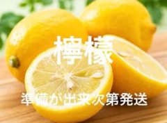 37国産瀬戸田レモン4kg 37国産瀬戸田レモン - メルカリ