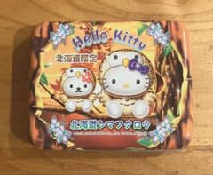激レア☆限定品☆ハローキティ 北海道限定 シマフクロウ 缶ケース 2006