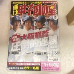 輝け甲子園の星 2018年5月号 大阪桐蔭連覇