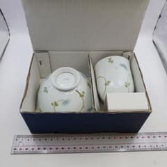 Arita ware tea bowl and teacup set (ceramic)