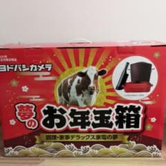 ヨドバシカメラ　お年玉箱　調理・家事デラックス家電の夢のサムネイル