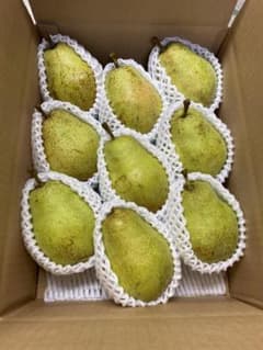 山形県産 洋梨 バラード 大玉4L~5L 箱込み4kgのサムネイル