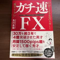ガチ速FX 27分で256万を稼いだ"鬼デイトレ"のサムネイル