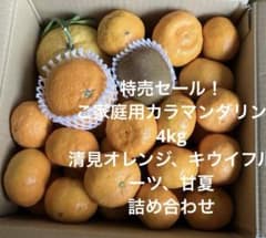 特売セール！ご家庭用カラマンダリン4kg➕清見オレンジ、甘夏、キウイ