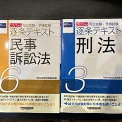 2025年版 司法試験 予備試験 6 民事訴訟法 & 3 刑法のサムネイル