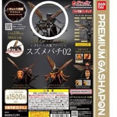 m59624968831_1.jpg?1720955293