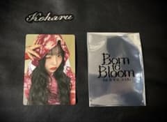 HANA Born to Bloom トレカ KOHARU - メルカリ