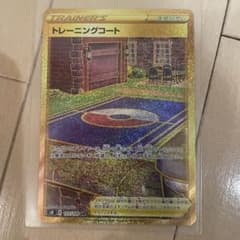 トレーニングコート ポケモンカードのサムネイル