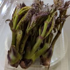 本日採取★タラの芽★長野産★80ｇのサムネイル