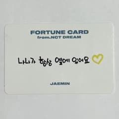 NCT DREAM the dream show 스크래치 트레카 제민