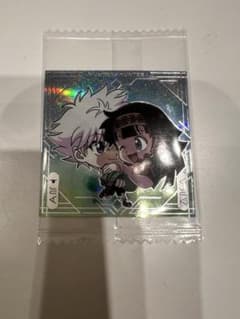 HUNTER×HUNTER キルア＆アルカ シークレットのサムネイル