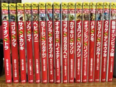どっちが強い⁉︎ 16冊セットのサムネイル