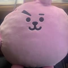 [223] COOKY 퐁퐁 쿠션 BT21
