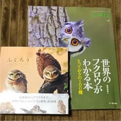 フクロウ本2冊セット❗️ふくろう / 世界のフクロウがわかる本のサムネイル