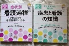 プチナースBOOKS 看護過程 疾患と看護の知識 2冊セット - メルカリ