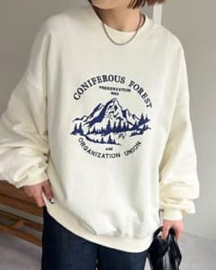 Discoat 刺繍ロゴモチーフビッグスウェット　スウェット トレーナーのサムネイル