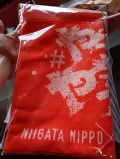 アルビレックス新潟　タオルのサムネイル