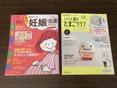 最新!初めての妊娠・出産新百科miniのサムネイル