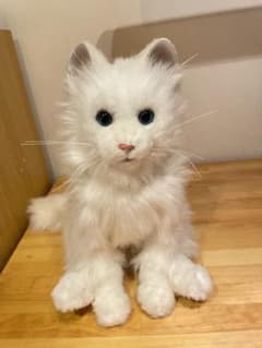 夢ねこ　初代　レアのサムネイル
