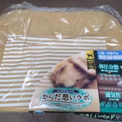 m59648932115_1.jpg?1742288011