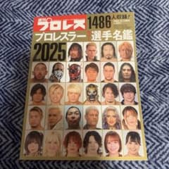 週刊プロレス プロレスラー選手名鑑 2025のサムネイル