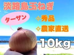 淡路島 玉ねぎ ⭐︎ターザン⭐︎ 秀品(10kg) 農家直送 ※残りわずか