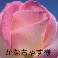 新生児 靴下 ７〜８cmのサムネイル