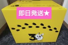 신품 미개봉 포켓몬 30주년 기념 어귀!피카츄 1/1 전용 BOX