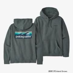 Patagonia ロゴプルオーバーパーカー ブルーグリーンのサムネイル