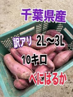 千葉県産　熟成　べにはるか　訳アリ　サイズ大きめ　10キロのサムネイル