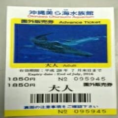 美ら海水族館の入館券のサムネイル
