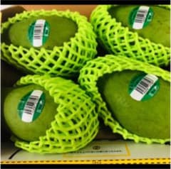 タイ産のグリーンマンゴー　4個のサムネイル