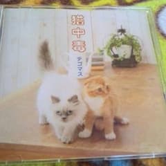 テゴマス 猫中毒のサムネイル