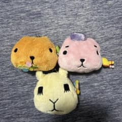 카피바라씨 5주년 기념 봉제인형 가마구치 3점 세트