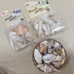 ミックスシェル 貝殻 パーツのサムネイル