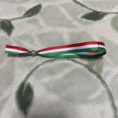 【非売品】関西万博！イタリア館　アームバンド　リストバンド