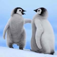 キラ様専用のサムネイル