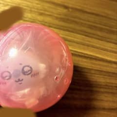 カプセルトイ　モモンガのサムネイル