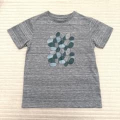THE NORTH FACE Tシャツ グレー　ミナペルホネン　コラボのサムネイル