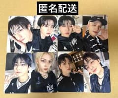 Straykids KARMA SKZOO VER 店舗特典 トレカ 8枚セット - メルカリ