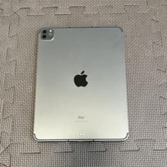 Apple iPad Pro 11インチ 第3世代 M1 256GB セルラー - メルカリ
