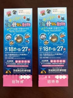 茨城県自然博物館 招待券 2枚セットのサムネイル