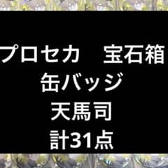 プロセカ 宝石箱 缶バッジ 天馬司 31点 - メルカリ