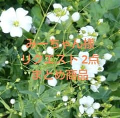 みーちゃん様 リクエスト 2点 まとめ商品のサムネイル