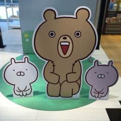 プッチ様 専用ですのサムネイル