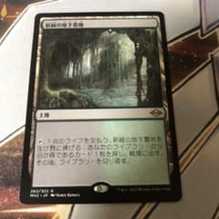 新緑の地下墓地のサムネイル
